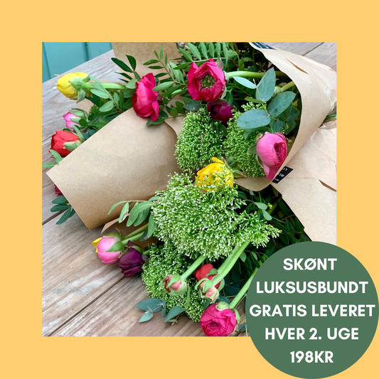 Luksusbundt hver 2. uge